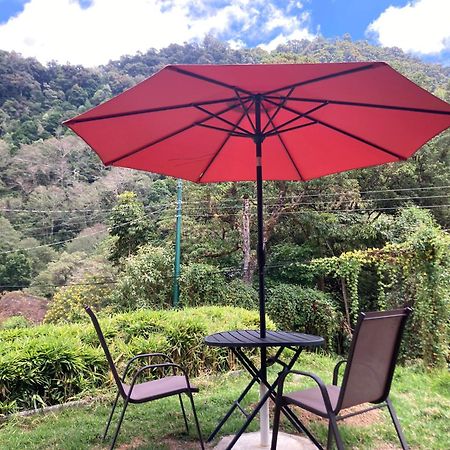 Los Lagos Lodge San Gerardo de Dota Exterior photo