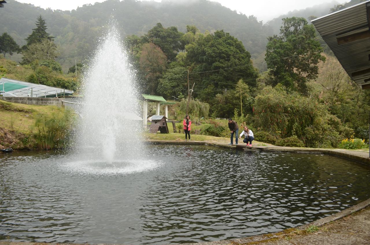 Los Lagos Lodge San Gerardo de Dota Exterior photo