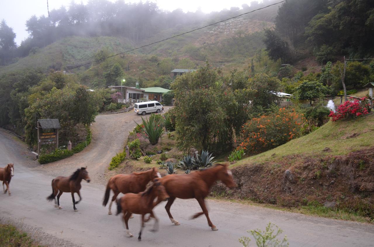 Los Lagos Lodge San Gerardo de Dota Exterior photo